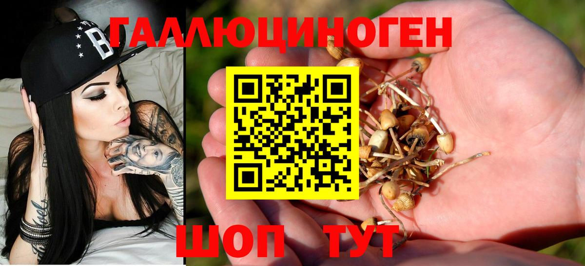 Псилоцибиновые грибы ЛСД  Псилоцибиновые грибы MAGIC MUSHROOMS  Вход с VPN  Новоалтайск 